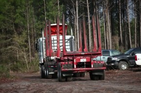 logging truck