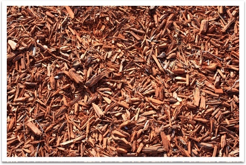 Wood chips produced as part of the CNS process